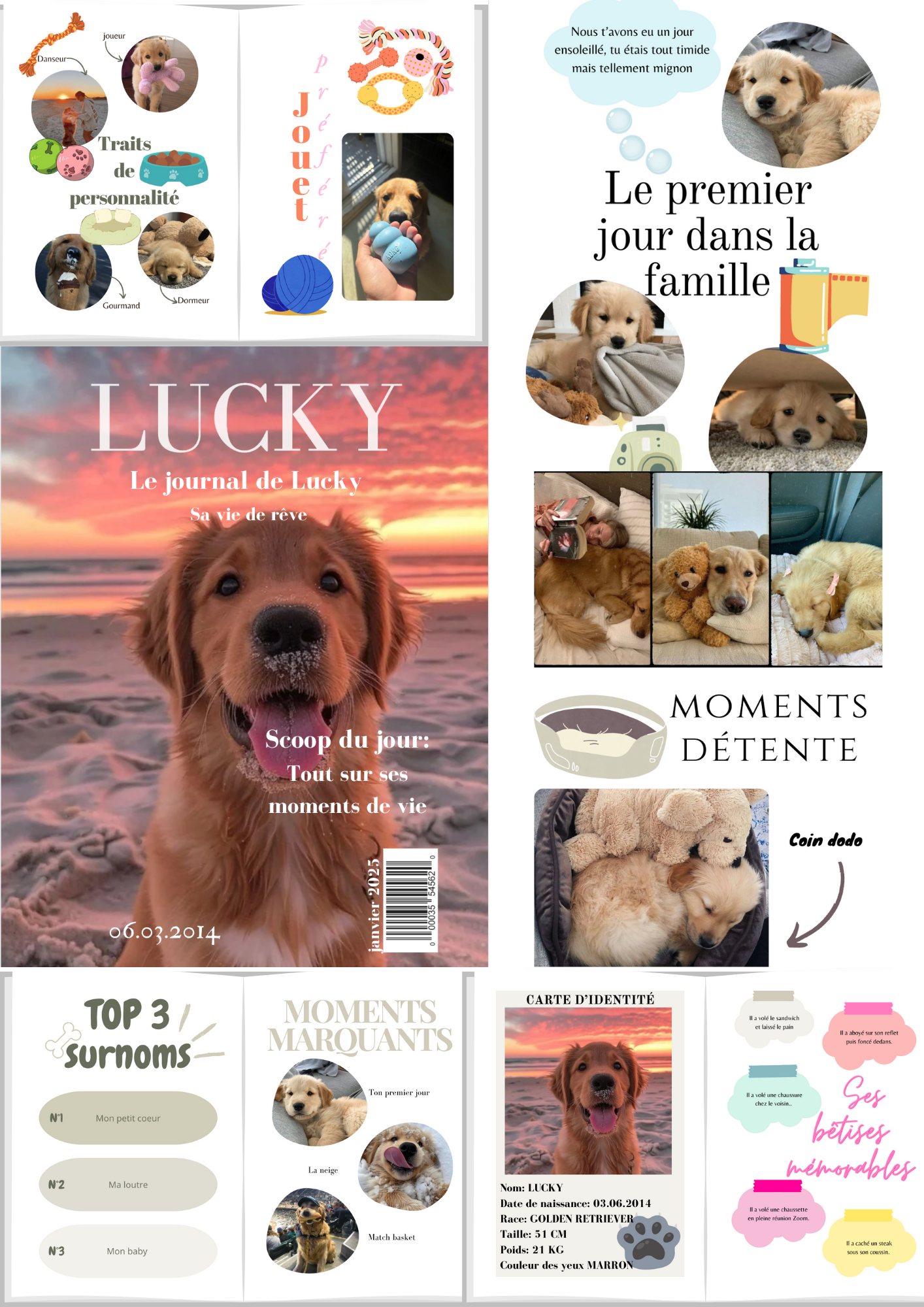 Magazine animaux