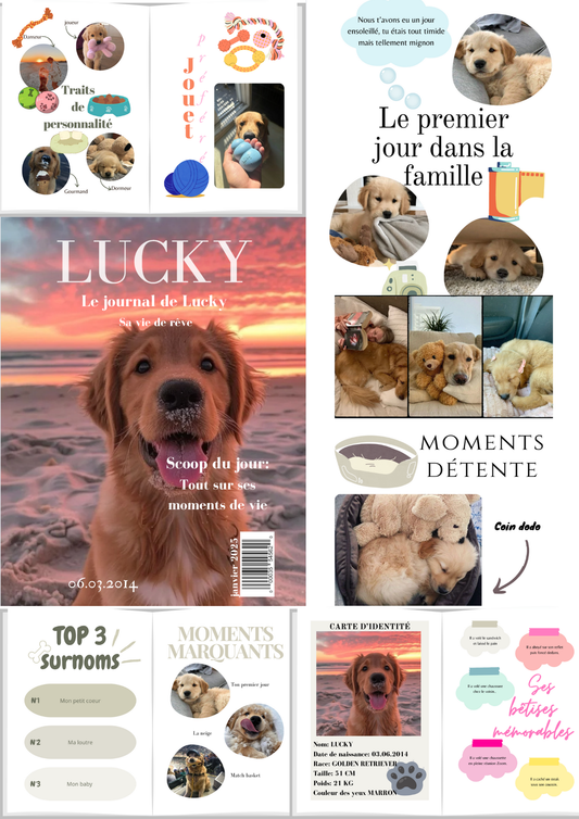Magazine animaux